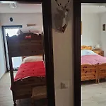 I Cervi * Auronzo di Cadore